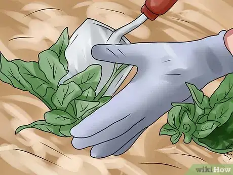 Image titled Prevent Your Property from Being Vandalized While Flipping it Step 6