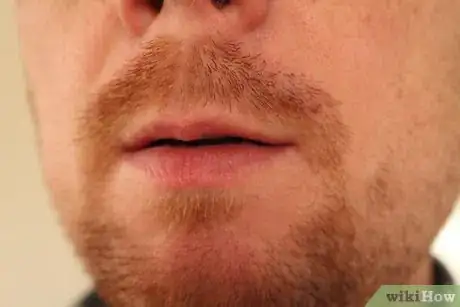 Image titled Write a Keyword Article Quickly Step 7