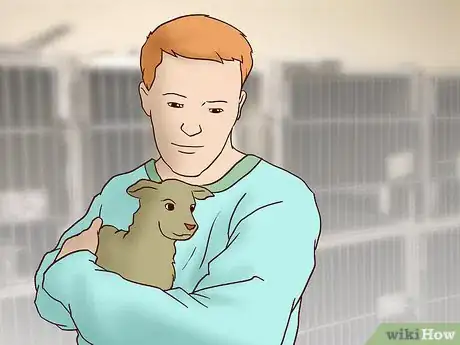 Image titled Choose the Right Dog for Your Family Step 14