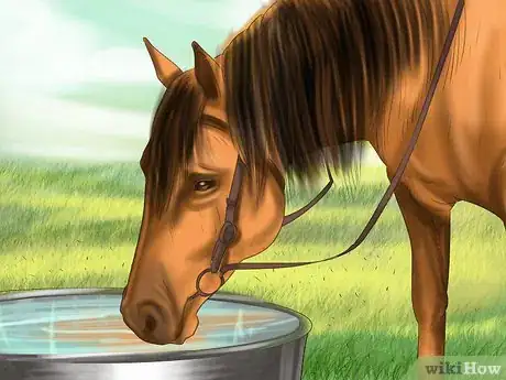 Image titled Diagnose the Cause of Fatigue in Horses Step 4