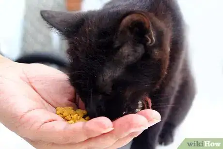 Image titled Make a Homemade Cat Spa Step 17