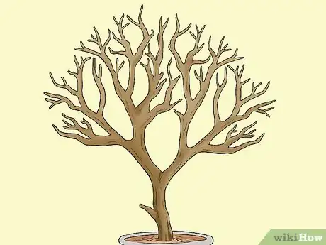 Image titled Make a Jesse Tree Step 1