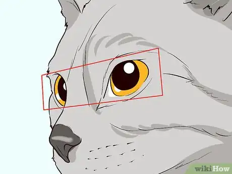 Image titled Figure Out Your Cat's Mood Step 13