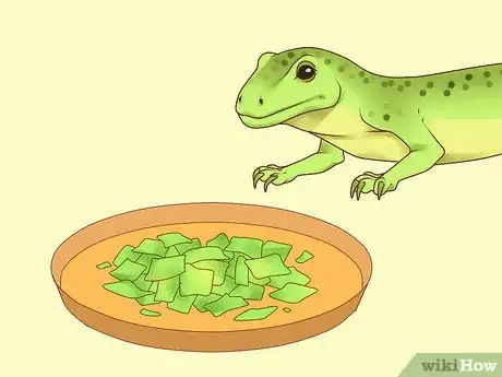 Image titled Feed a Lizard Step 14