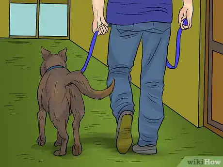 Image titled Keep an Emotional Support Animal in No‐Pet Housing Step 13