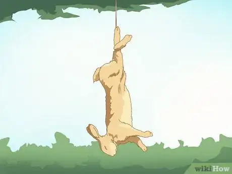 Image titled Trap a Rabbit Step 22