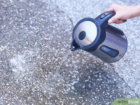 Image titled Remove Urine Odor from Concrete Step 6
