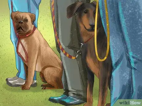 Image titled Keep a Dog or Cat Successfully While Living in an Apartment Step 13