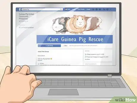 Image titled Run a Guinea Pig Rescue Step 20