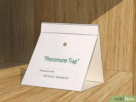 Image titled Get Rid of Weevils (Flour Bugs) Step 9