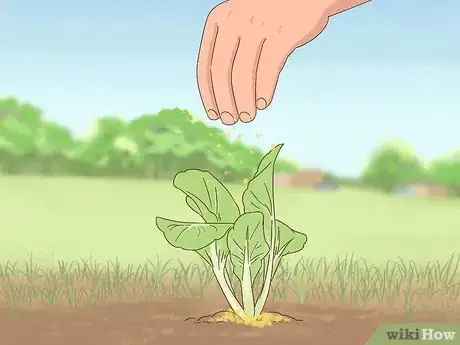 Image titled Keep Dogs Out of Gardens Step 5