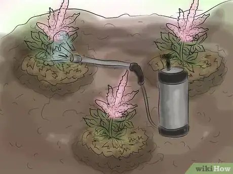 Image titled Grow Astilbe Step 15