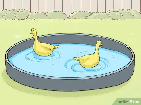 Image titled Keep Geese Step 7