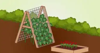 Choose Plants for a Garden