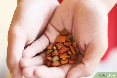 Image titled Train Your Dog in Nosework Step 1