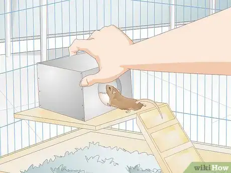 Image titled Help a Gerbil Recover After Stroke Step 5