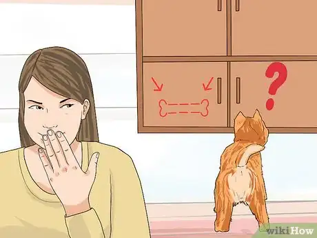 Image titled Have Fun with Your Dog Outdoors Step 8