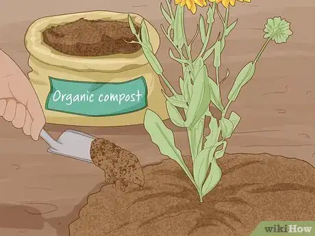 Image titled Save Bees from Extinction Step 13