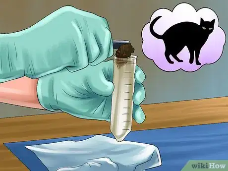 Image titled Remove Parasite Samples from a Cat Step 9