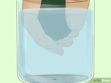 Image titled Clean an Aquatic Moss Ball Step 2