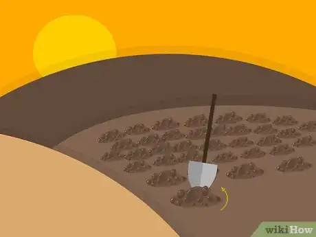 Image titled Grow Lupine Flowers Step 05