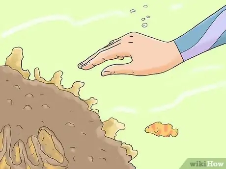 Image titled Protect Coral Reefs Step 1