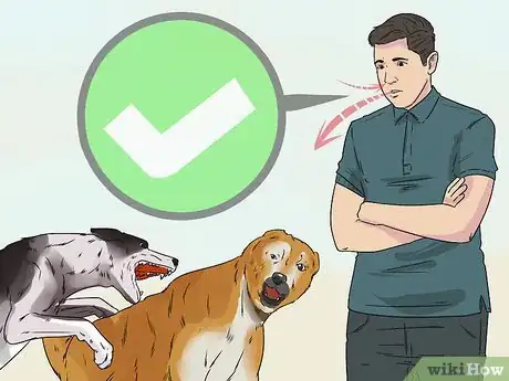 Image titled Deal with Aggressive Dogs when They Fight Step 1