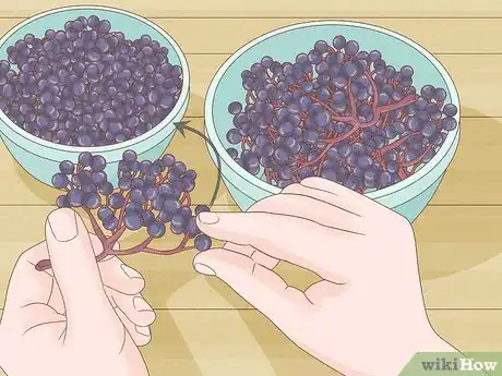 Image titled Harvest Elderberries Step 3