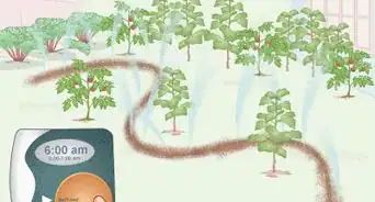 Set up an Inexpensive Irrigation System