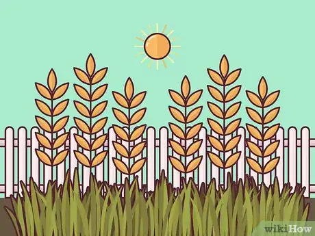 Image titled Plant Cover Crops Step 2