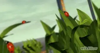 Maintain a Greenhouse