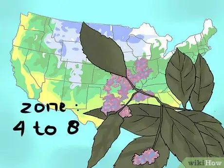 Image titled Understanding Plant Hardiness Zones Step 6