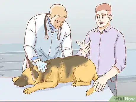 Image titled Treat a Dog for Snakebite in Australia Step 4