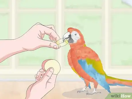 Image titled Treat and Prevent Macaw Bites Step 4