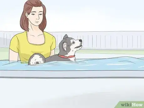 Image titled Keep Dogs Off of a Pool Cover Step 12