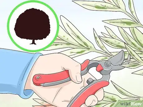 Image titled Prune a Dappled Willow Step 10