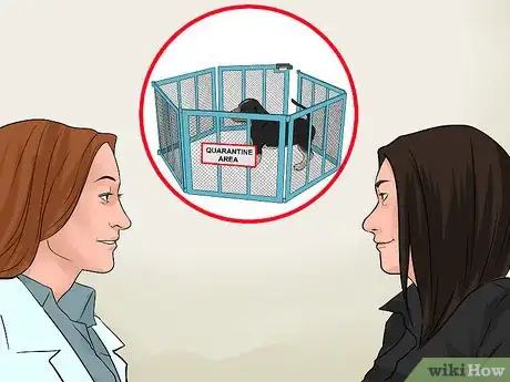 Image titled Bring a Dog to the Country of Panama Step 11