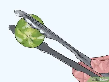 Image titled Roast Tomatillos Step 23
