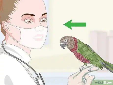 Image titled Treat Infections in Hawk Headed Parrots Step 5
