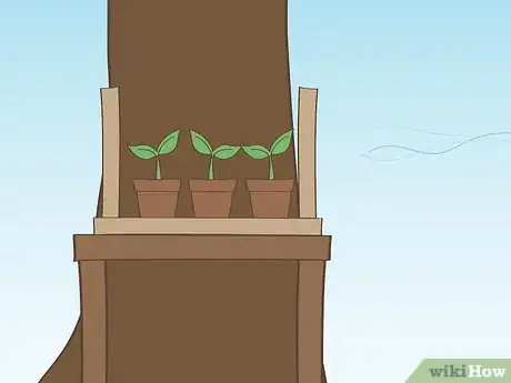 Image titled Harden Off Seedlings Step 3