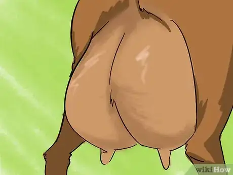 Image titled Spot a Good Milker (Goats) Step 2