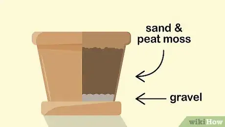 Image titled Grow Adeniums Step 9