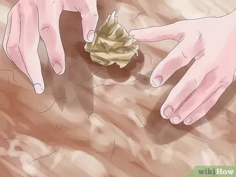 Image titled Care for Amaryllis Flowers Step 4