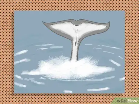 Image titled Identify an Orca Whale Step 1Bullet3