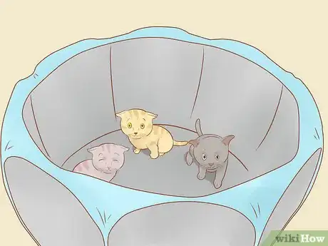 Image titled Throw a Kitten Shower Step 17