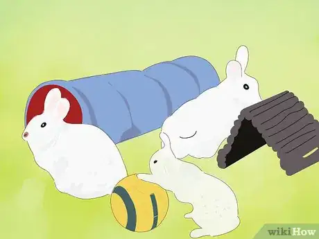 Image titled Address Biting and Aggressive Behavior in a Rabbit Step 6