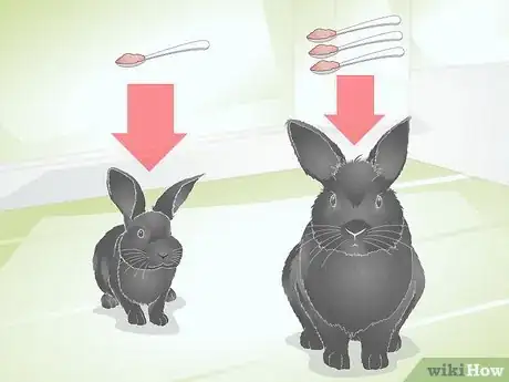 Image titled Choose Rabbit Treats Step 1