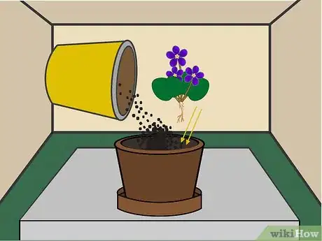 Image titled Grow African Violets Indoors Step 04