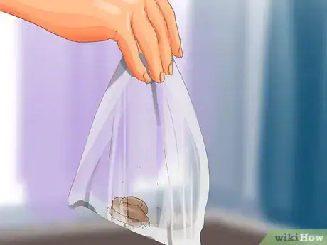 Image titled Collect Bodily Fluid Samples from a Cat Step 9