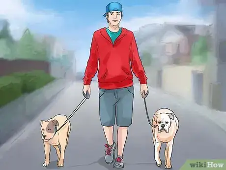 Image titled Walk Two Dogs Step 11